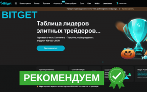 Подробнее о статье Bitget полный обзор криптовалютной биржи: Функционал, комиссии, безопасность