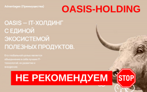 Подробнее о статье OASIS HOLDING: Обзор и риски участия в финансовой пирамиде